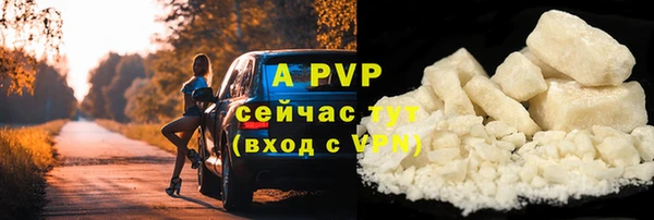 твердый Алексин