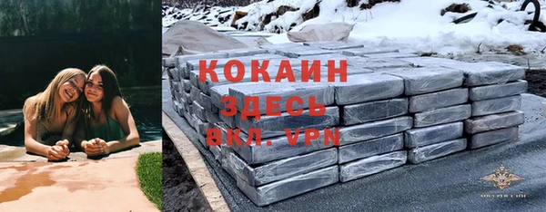 твердый Алексин