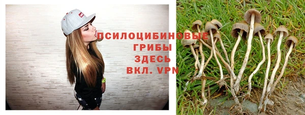 твердый Алексин