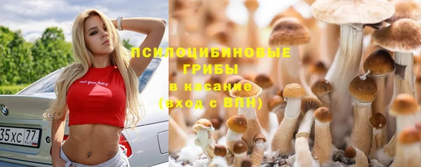 твердый Алексин
