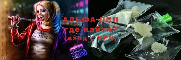 гашик Алексеевка