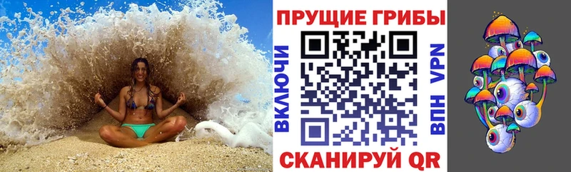 это Telegram  Киржач  Галлюциногенные грибы Psilocybine cubensis  МЕГА ссылки 