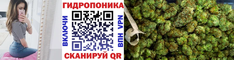 Шишки марихуана конопля  Киржач 